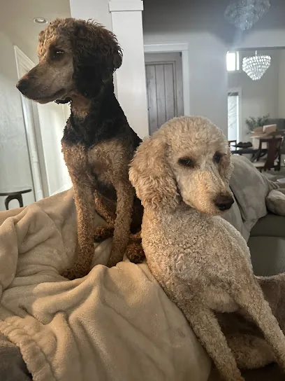 Wag' N Tails Mobile Grooming LLC — photo from their website