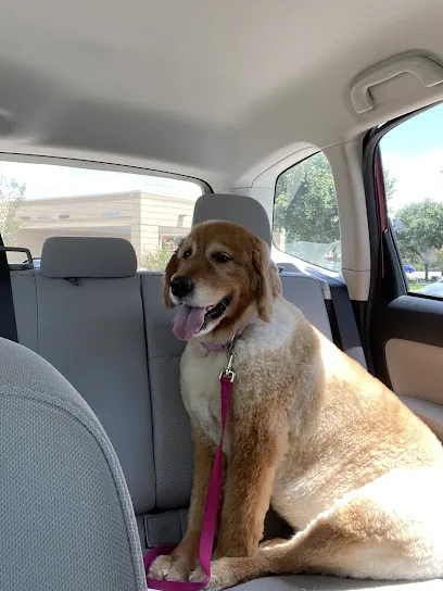 Waggin Tails Mobile Pet Grooming — photo from their website