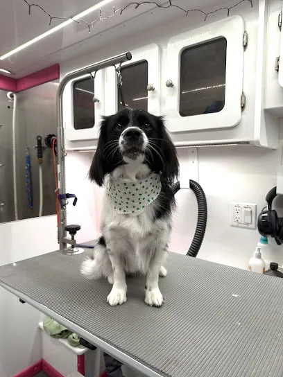 Little Red Rover Mobile Dog Grooming — photo from their website
