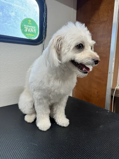 Candy's Mobile Pet Grooming — photo from their website