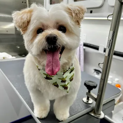 Galaxy Grooming Mobile Dog Salon — photo from their website