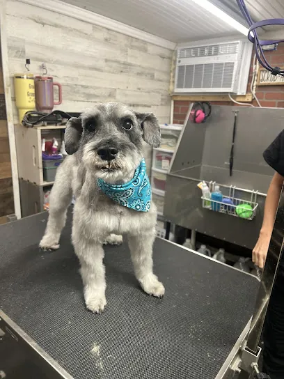 Groovy Groomers Mobile Spa — photo from their website