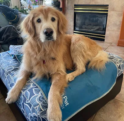 Hair Today Gone Tomorrow Mobile Pet Salon — photo from their website