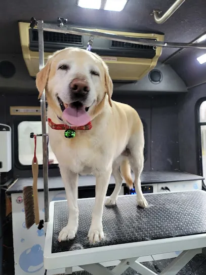 Purrs N' Furrs Mobile Grooming — photo from their website
