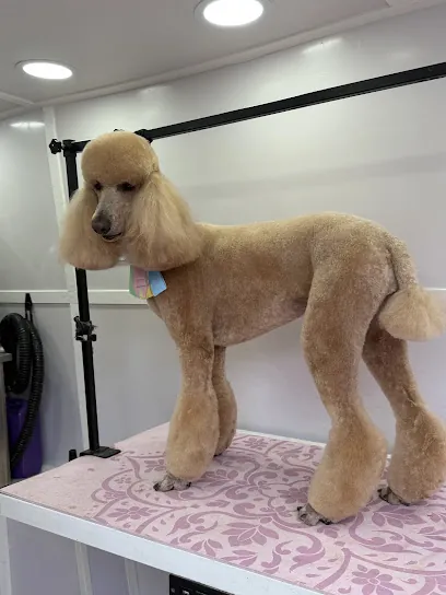 Sivira mobile pet grooming — photo from their website