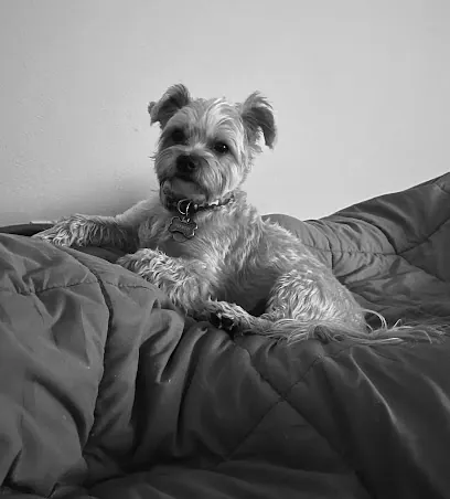 Pooch Caboose Mobile Dog Grooming — photo from their website