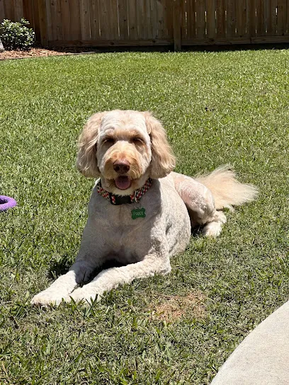 Scrubby Bubbles Mobile Dog Grooming — photo from their website