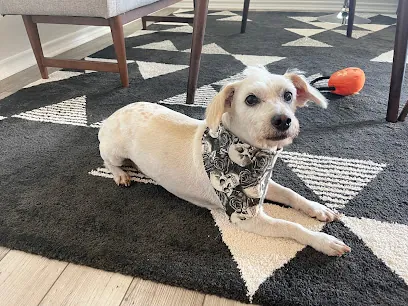 Soggy Doggy Mobile Grooming — photo from their website