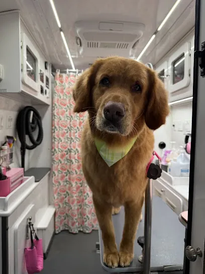 Happy Dog Mobile Grooming — photo from their website