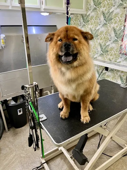 Kat n Dog Mobile Grooming — photo from their website