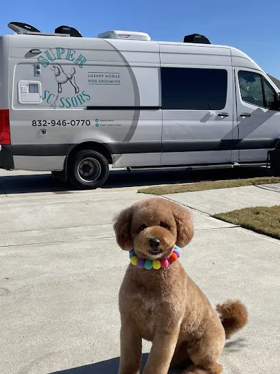 Super Scissors Mobile Dog Grooming — photo from their website