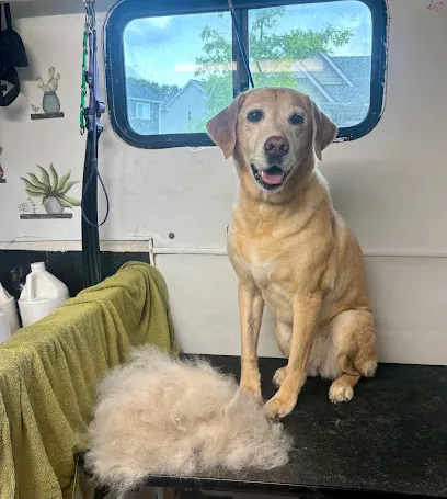 Ruff Revolution Mobile Pet Grooming — photo from their website