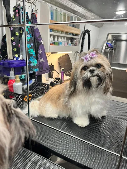 Fancy Paws Mobile Grooming — photo from their website