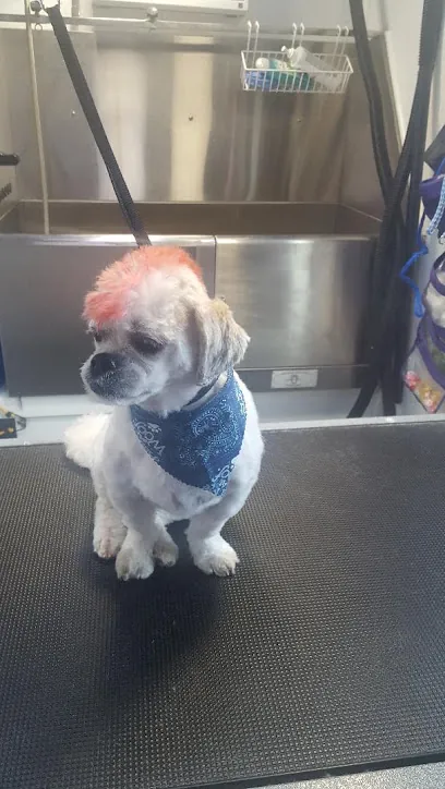 Little Mobile Grooming Shop — photo from their website