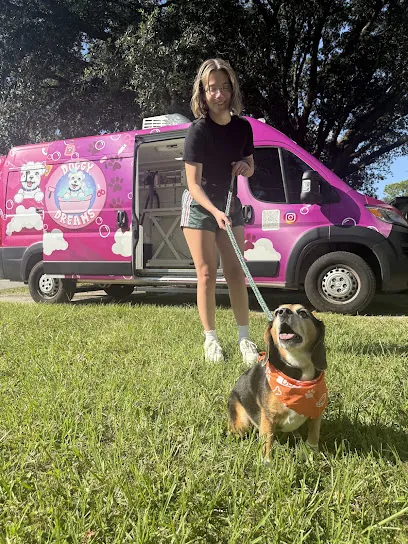 Doggy Dreams Pet Grooming Mobile Florida — photo from their website