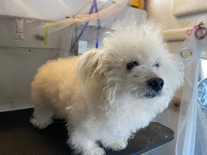 Tickled Pink Pets Mobile Spa — photo from their website
