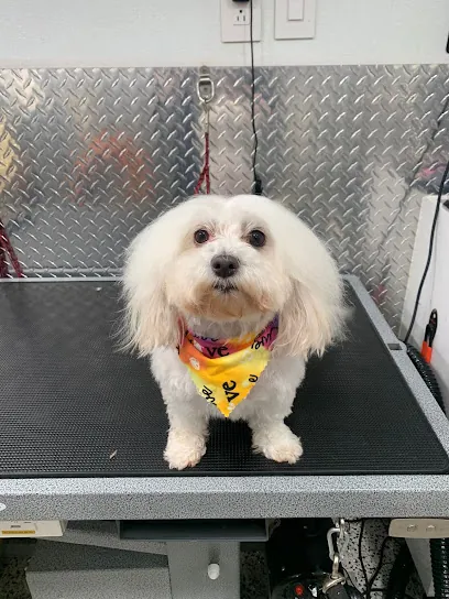 The Roads Mobile Pet Grooming — photo from their website