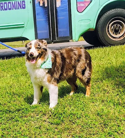 AT SUNNYVILLE MOBILE PET GROOMING — photo from their website