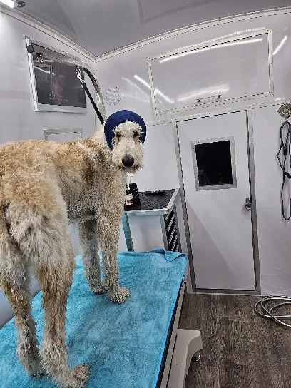 K9 Zen Mobile Pet Spa — photo from their website