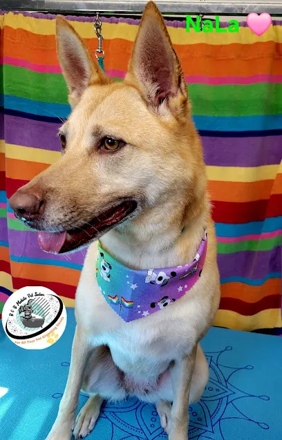 B & B Mobile Pet Salon — photo from their website