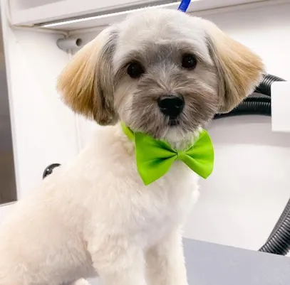 Stitch Mobile Pet Grooming — photo from their website