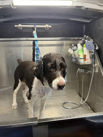 Mobile Pet Grooming — photo from their website