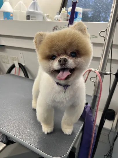 Shears To You Mobile Grooming LLC — photo from their website