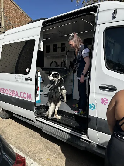 Fresh Mobile Dog Spa — photo from their website