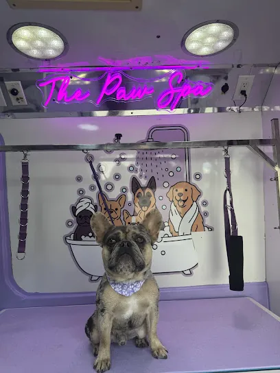 The Paw Spa — photo from their website