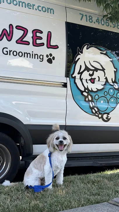 Rapawzel Dog Grooming & Day Care — photo from their website
