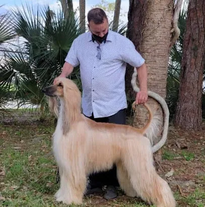 ALFONSO’S DOG MOBILE GROOMING — photo from their website