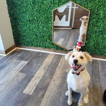 The Mutt Hut Dog Grooming Salon & Mobile — photo from their website