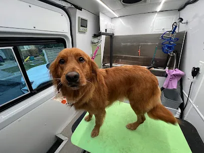 Profound Hound Mobile Grooming — photo from their website