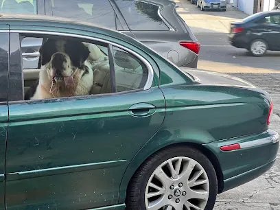 Pets Mobile — photo from their website
