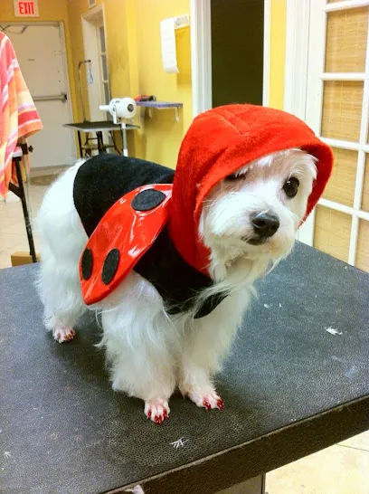 Doggy Studio Grooming & Mobile Grooming — photo from their website