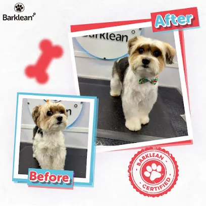 Barklean Mobile Pet Grooming - Palm Beach — photo from their website