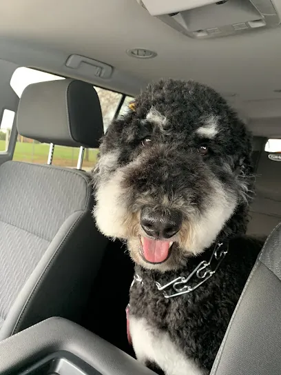 Wizard of Pawz Mobile Grooming — photo from their website