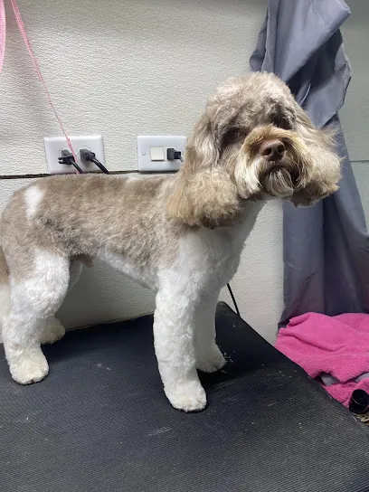 Posh Paws Mobile Dog Grooming — photo from their website