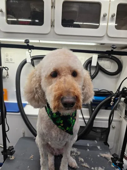 WOWZA LLC. Cat & Dog Mobile Salon — photo from their website