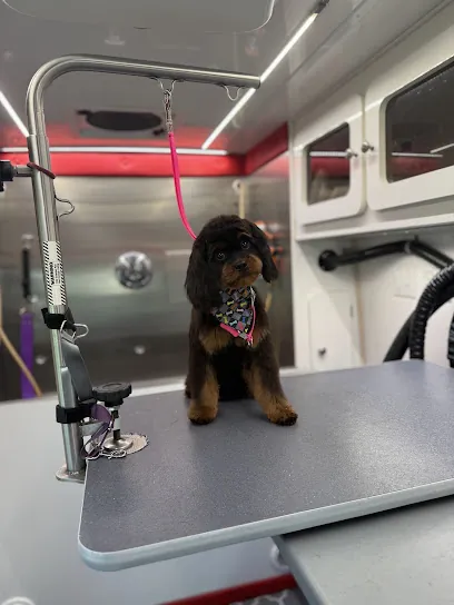 Kenzie's Mobile Pet Grooming — photo from their website