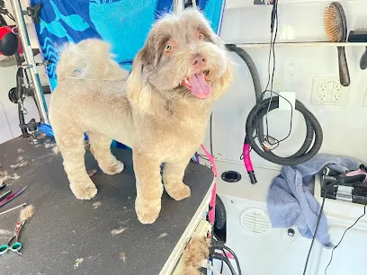 Ana's Mobile Pet Salon — photo from their website