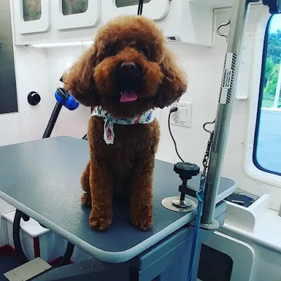 South Paws Mobile Dog Grooming — photo from their website