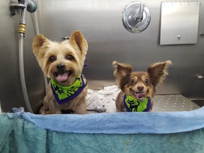 Doggy A Go Go Mobile Grooming — photo from their website