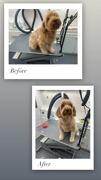 Fluff and Buff Spa and Salon - Mobile Dog Grooming — photo from their website