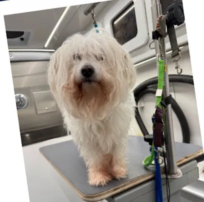 Maverick Mobile Grooming — photo from their website