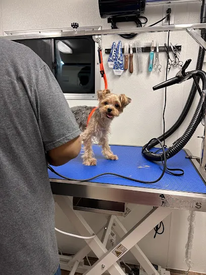 Happy Wags Grooming, LLC (Mobile) — photo from their website