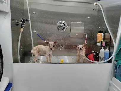 Mobile Beauty Pawlor — photo from their website