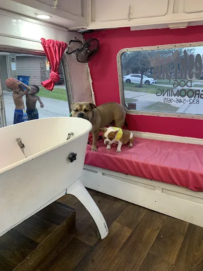 Fresh Tails Mobile Dog Grooming Services — photo from their website