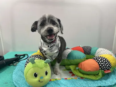 “The Lord Of The Groom” - Luxury Mobile Pet Grooming — photo from their website