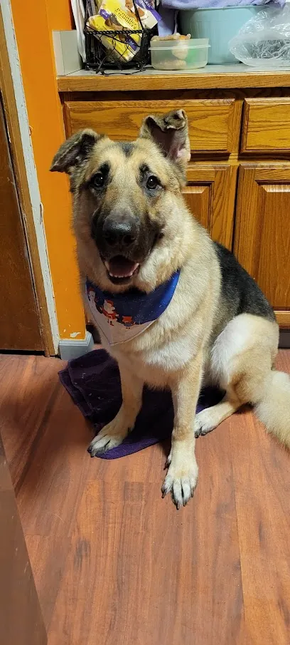 The Mobile Pet Parlor — photo from their website